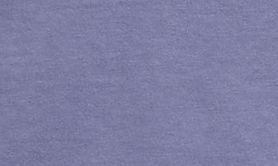 Shop Jordan Mj Heritage Graphic T-shirt In Sky Light Purple