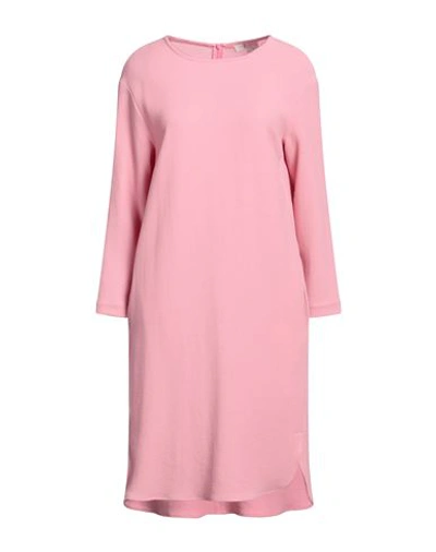 Shop Antonelli Woman Midi Dress Pink Size 6 Virgin Wool