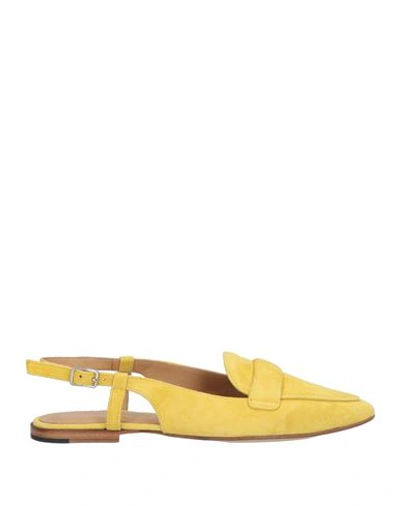 Shop Pomme D'or Woman Ballet Flats Ocher Size 7.5 Soft Leather In Yellow