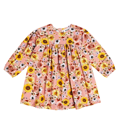 Shop Molo Baby Coral Floral Cotton-blend Dress In Multicoloured