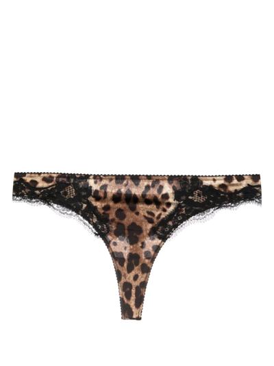 Shop Dolce & Gabbana Leopard-print Thong In Brown