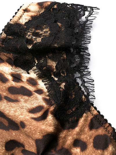Shop Dolce & Gabbana Leopard-print Thong In Brown