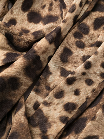 Shop Dolce & Gabbana Leopard-print Tights In Brown