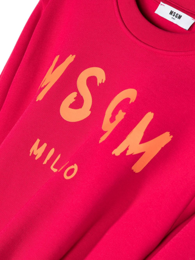 Shop Msgm Logo-print Cotton Sweatshirt In Pink