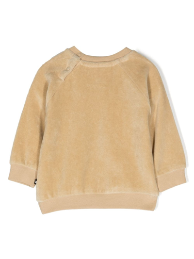 Shop Molo Bunny Velour Sweatshirt In Brown