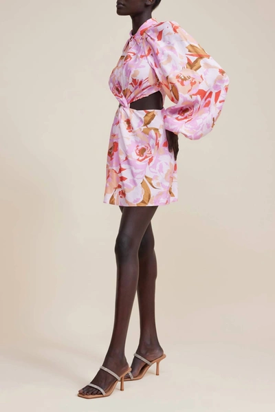 Shop Acler Woodward Mini Dress In Peony Harvest In Multi