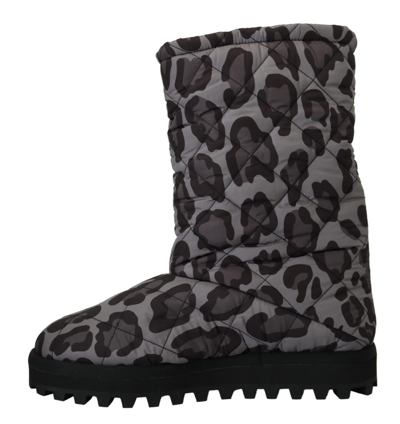 Shop Dolce & Gabbana Leopard Boots Padded Mid Calf Men's Shoes In Grey