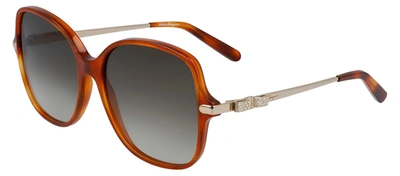 Ferragamo Sf 990sr 214 Oversized Square Sunglasses In Multi