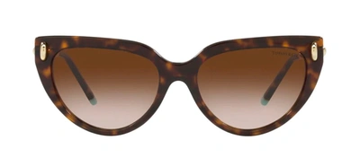 Shop Tiffany & Co . 0tf4195 80153b Cat Eye Sunglasses In Multi