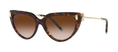 Shop Tiffany & Co . 0tf4195 80153b Cat Eye Sunglasses In Multi