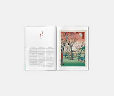 Shop Taschen Books And City Guides Multicolor Uni