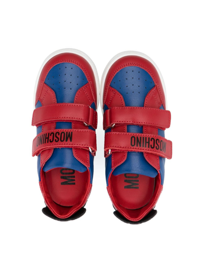 Shop Moschino Teddy Bear Low-top Sneakers In Red
