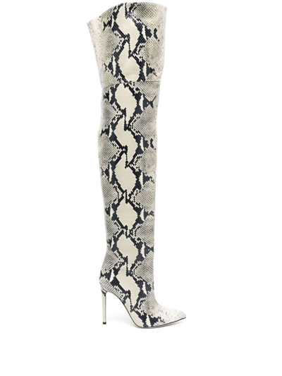 Paris Texas Snakeskin-print 90mm Pointed-toe Leather Boots In Neutrals