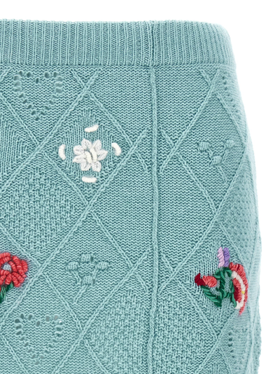 Shop Twinset Embroidery Skirt In Light Blue