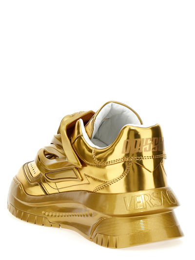 Shop Versace Odiessea Sneakers In Gold
