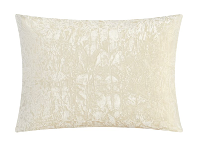 Shop Chic Home Design Alianna 5 Piece Comforter Set Crinkle Crushed Velvet Bedding In Brown