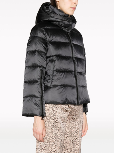 Shop Twinset High-neck Puffer Jacket In Black