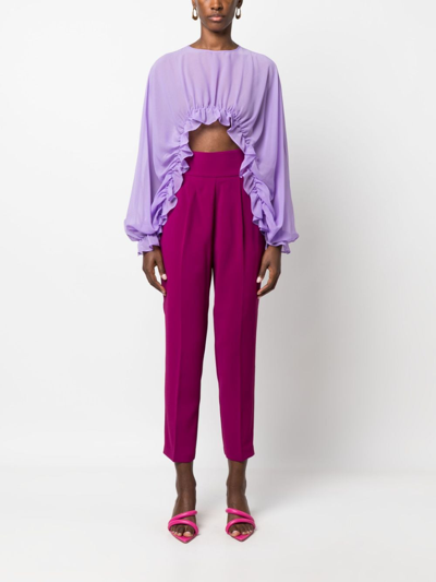 Shop Pinko Tapered Tailored Trousers In Purple