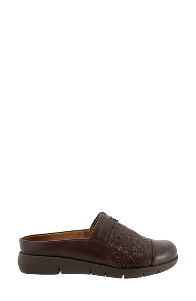 Softwalk San Marcos Tooling Mule In Brown