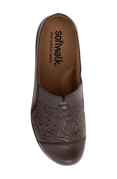 Softwalk San Marcos Tooling Mule In Brown