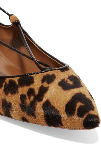 Shop Aquazzura Christy Leopard-print Calf Hair Point-toe Flats In Leopard Print