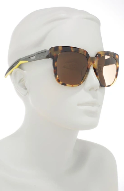 Shop Balenciaga 55mm Square Sunglasses In Havana Grey Brown