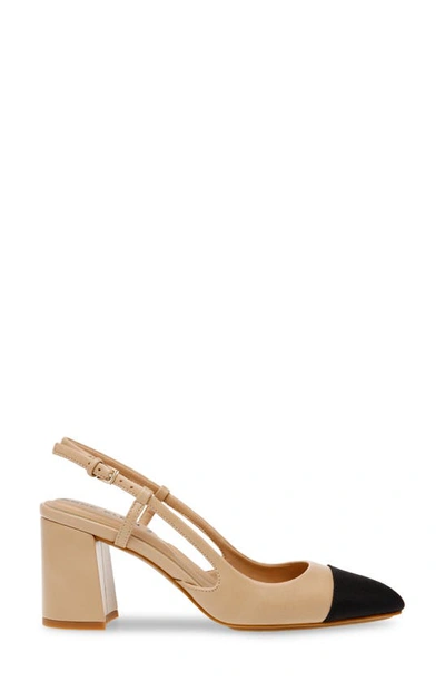 Shop Anne Klein Brinlee Pointed Toe Pump In Nude/ Black