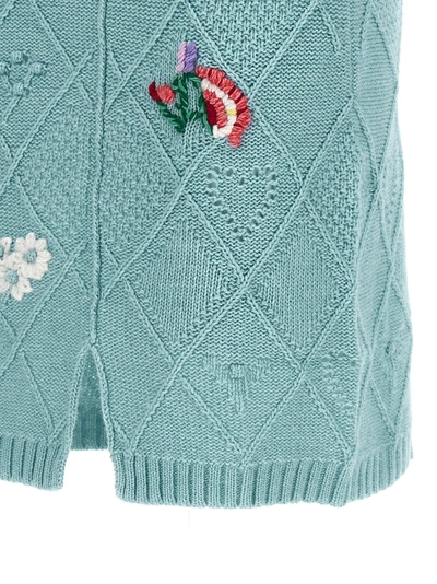 Twinset Embroidery Skirt Skirts Light Blue