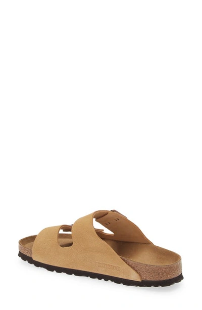 Shop Birkenstock Arizona Sandal In Latte Cream