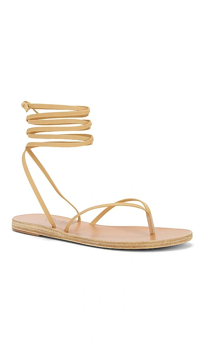 Shop Ancient Greek Sandals Celia Sandal In Beige