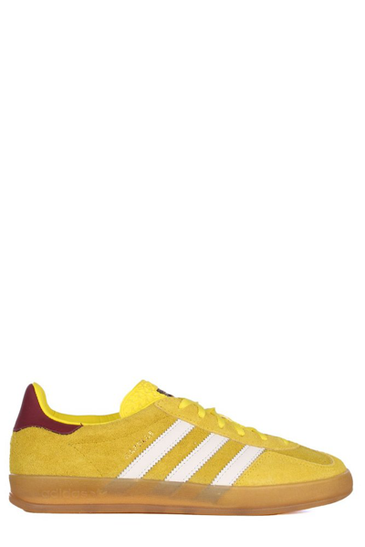 Shop Adidas Originals Gazelle Low In Yellow