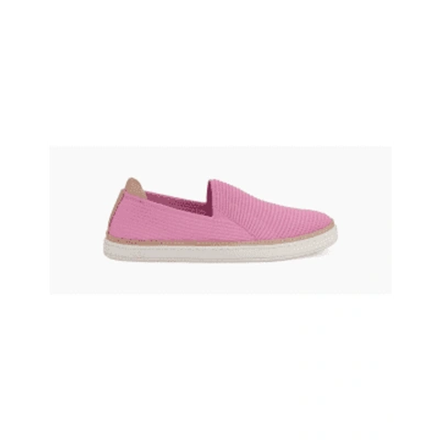Shop Ugg Pink Alameda Sammy Knitted Loafers