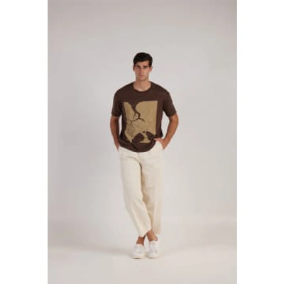 Shop Daniele Fiesoli Linen Graphic T-shirt Brown