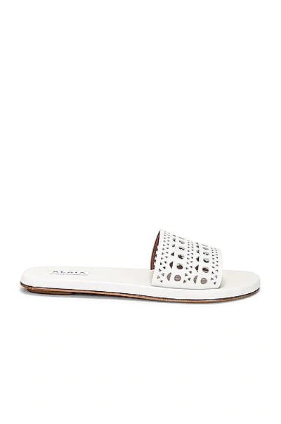 Shop Alaïa Perforated Flat Sandal In Blanc Casse