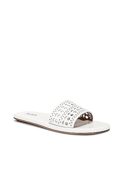 Shop Alaïa Perforated Flat Sandal In Blanc Casse