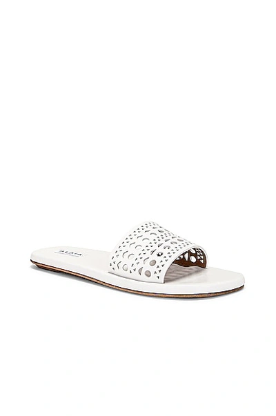 Alaïa Vienne Cutout Flat Slide Sandals In Blanc Casse