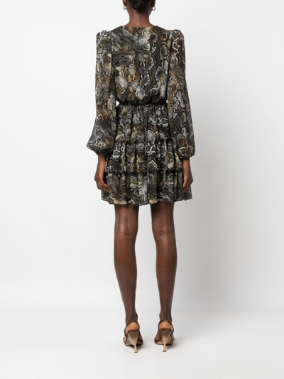 Shop Just Cavalli Snakeskin-print Ruffle-trim Minidress In Brown