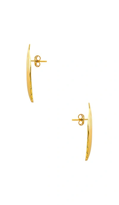 Shop Aureum Bernadette Earrings In Metallic Gold