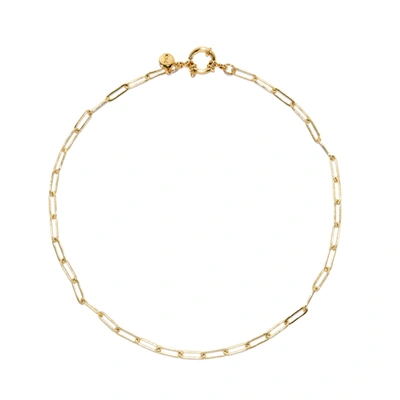 Shop Joey Baby Elaine Paper Clip Chain Necklace In Gold