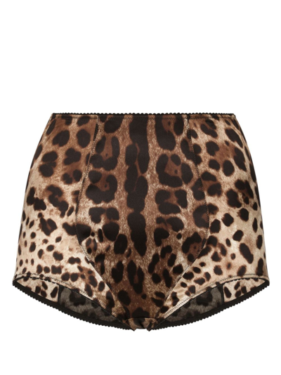 Shop Dolce & Gabbana Leopard-print High-waisted Briefs In Brown