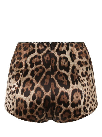 Shop Dolce & Gabbana Leopard-print High-waisted Briefs In Brown