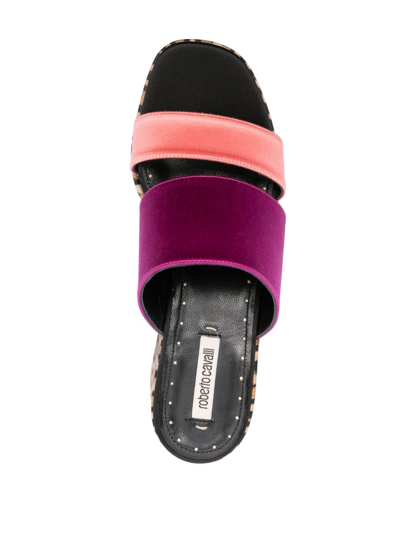 Shop Roberto Cavalli Colour-block 50mm Double-strap Mules In Violett