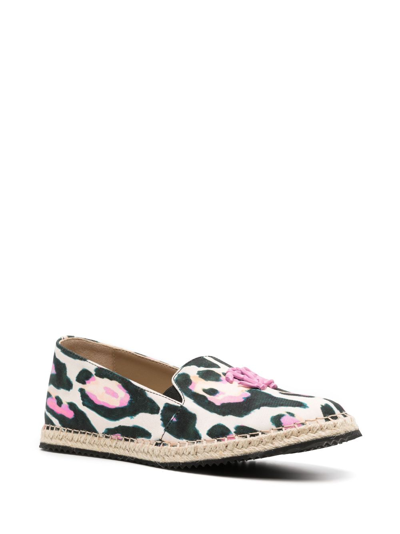 Roberto Cavalli Graphic-print Cotton Espadrilles In Weiss