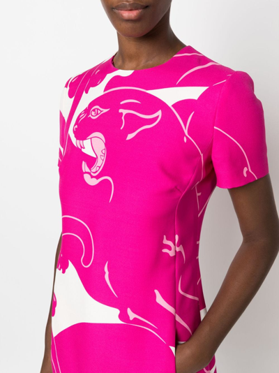 Shop Valentino Pnather-print Short-sleeve Dress In Rosa