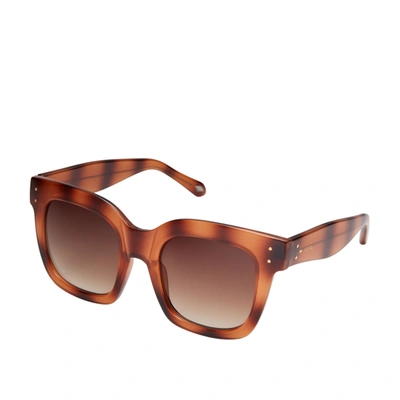 Shop Fossil Women's Square Sunglasses In Brown