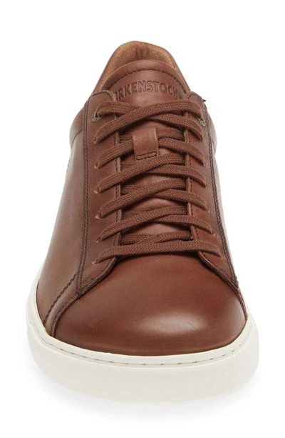 Birkenstock Bend Low Top Sneaker In Cognac