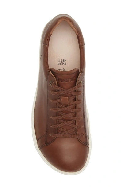 Shop Birkenstock Bend Low Top Sneaker In Cognac