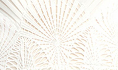 Tadashi Shoji Lace Embroidered Long Sleeve Chiffon Gown In Ivory/ Petal