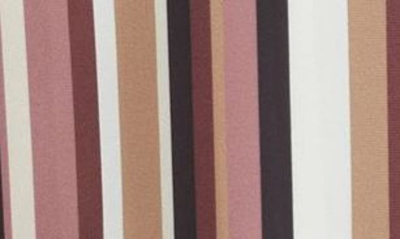 Anne Klein Stripe Tunic Top In Rose Stone Multi