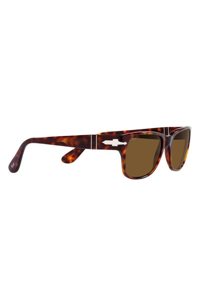Persol Polarized Rectangular Sunglasses In Pol Brown